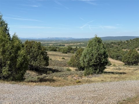 Land Near Chama River, NM