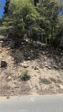 Lake Arrowhead Treed Lot