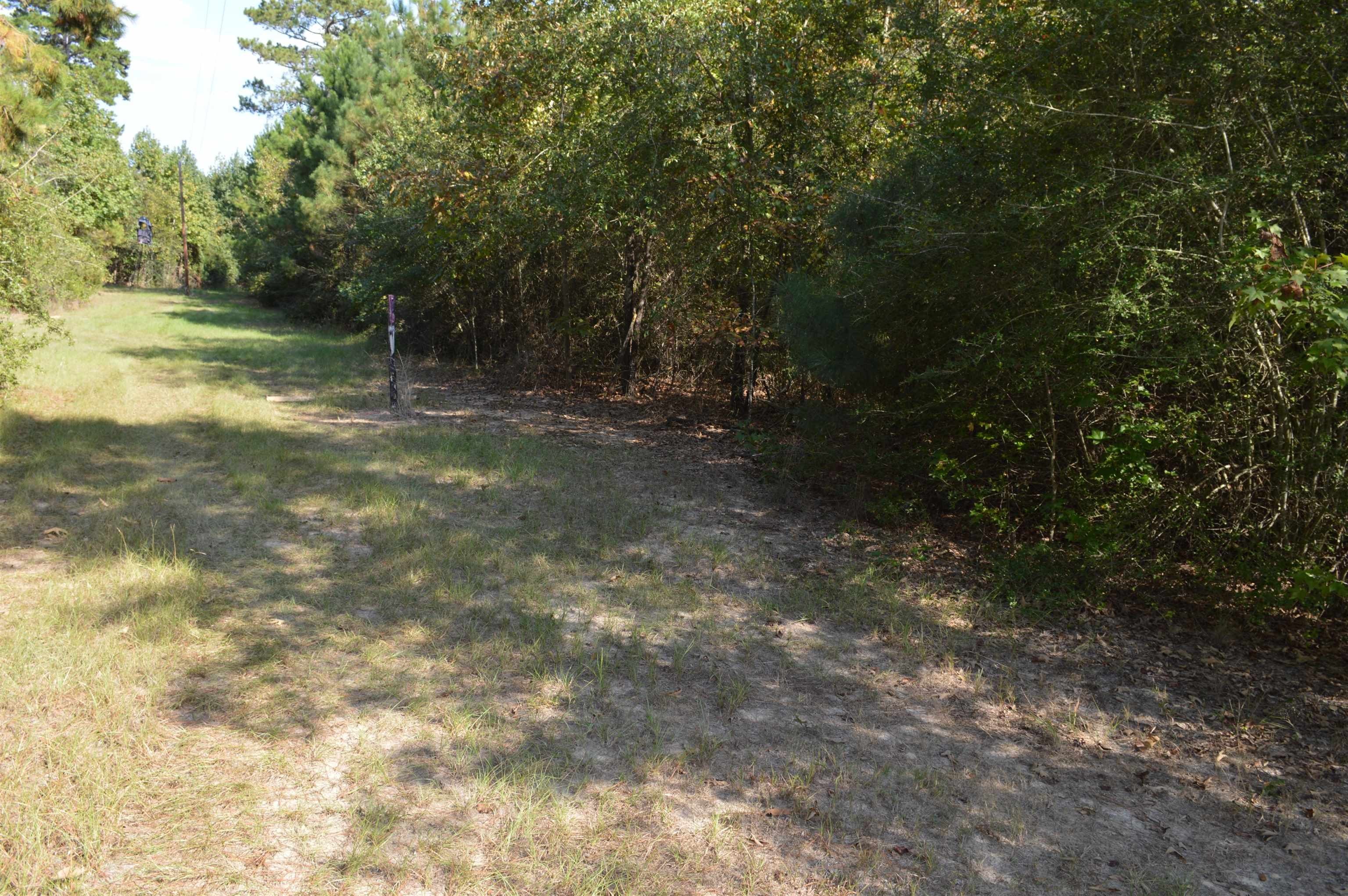 Secluded Land in Jefferson, TX