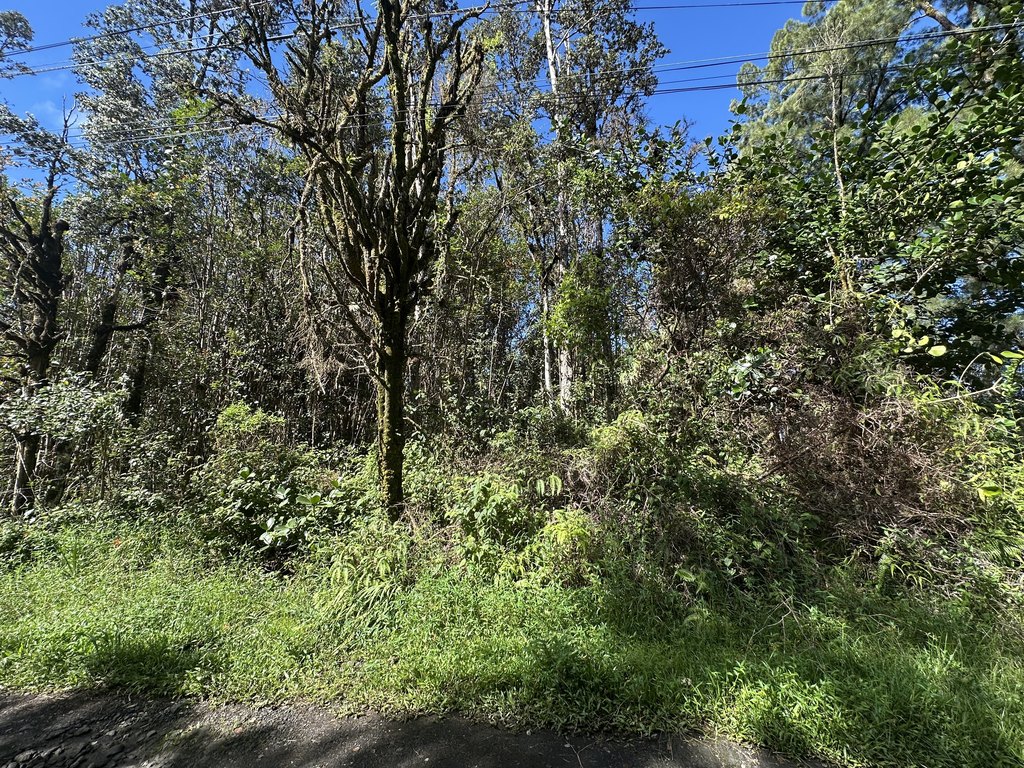 Picture 3