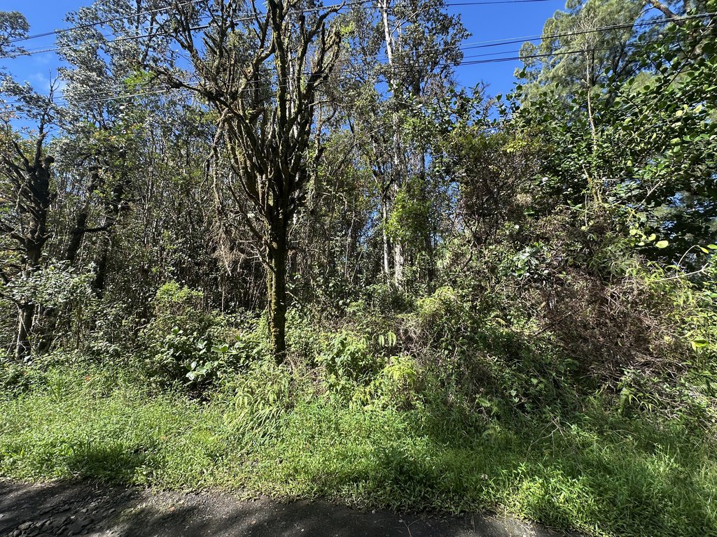 Picture 10