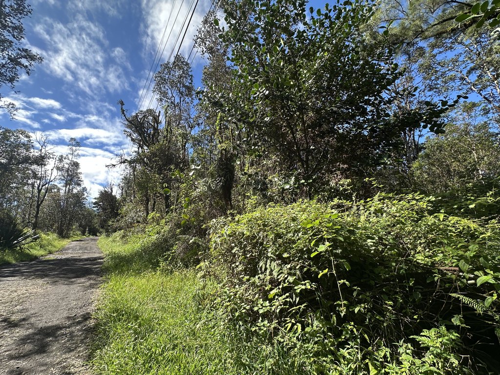 Picture 7