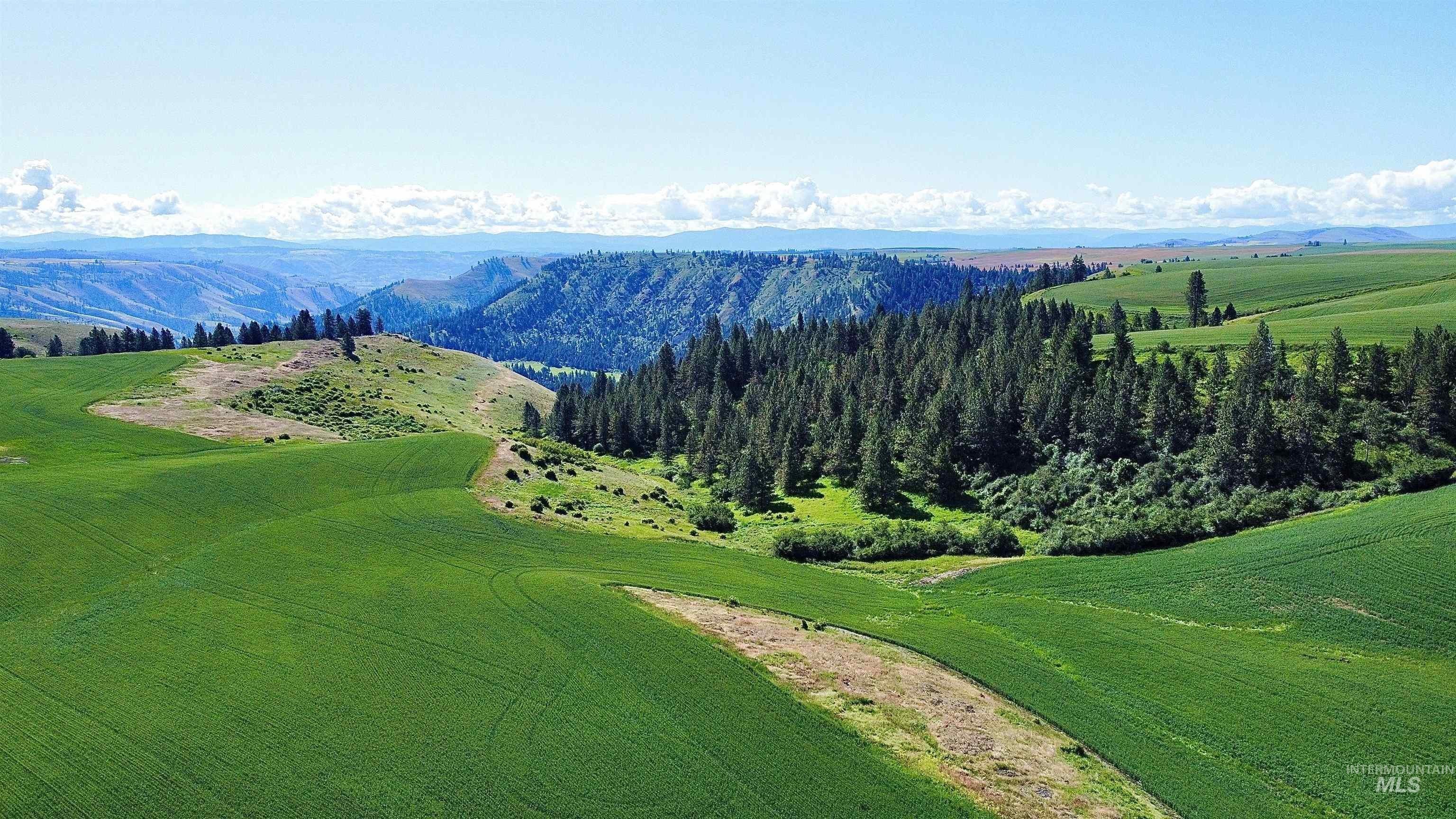 152+ Acres Farmable Buildable Land