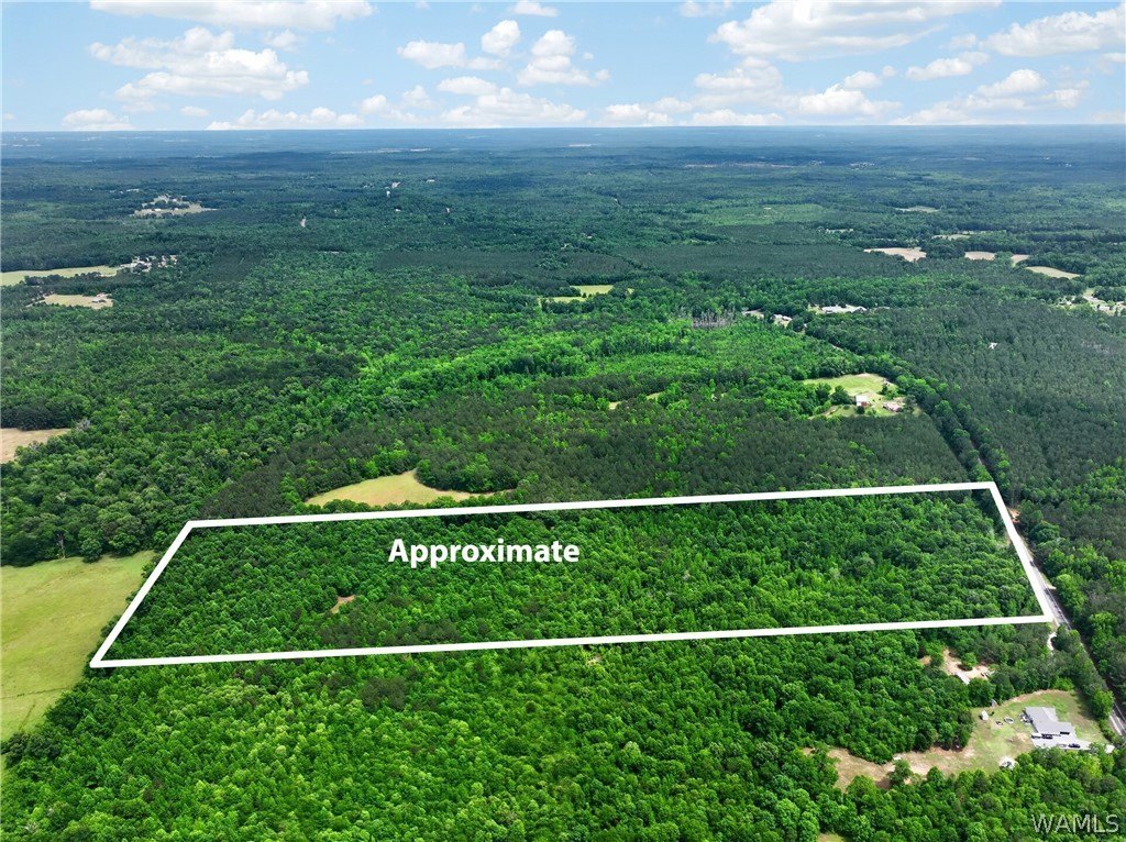 36.58 Acres in Ralph, AL