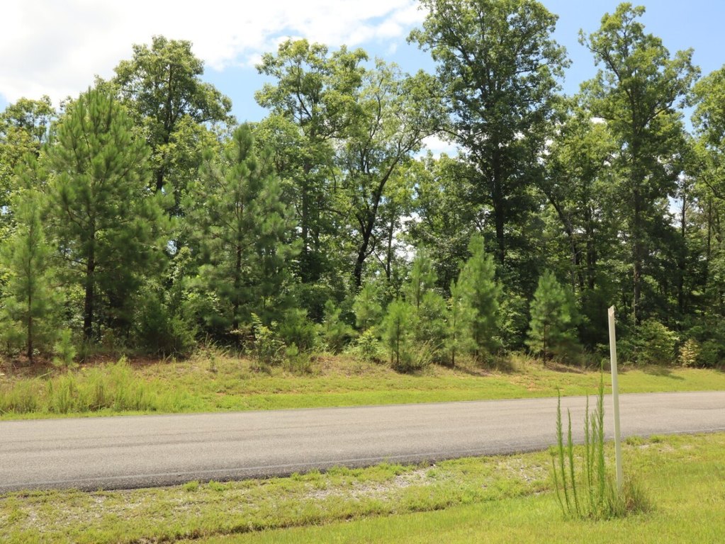 Picture 13