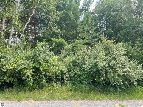 Lake Isabella Double Lot
