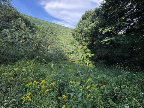 Land, Independence, VA