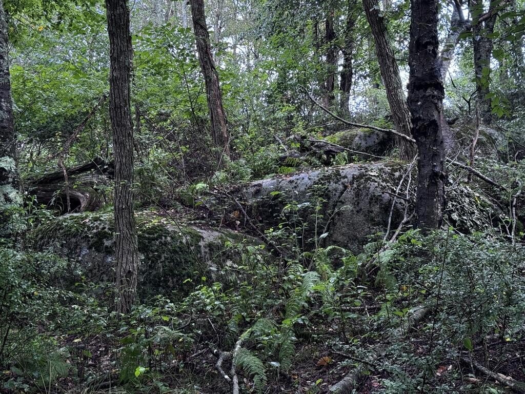 Picture 16