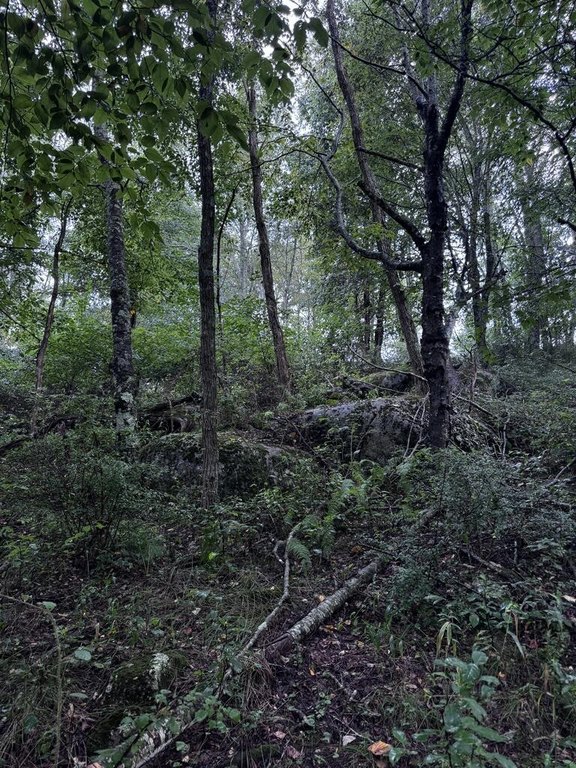 Picture 21