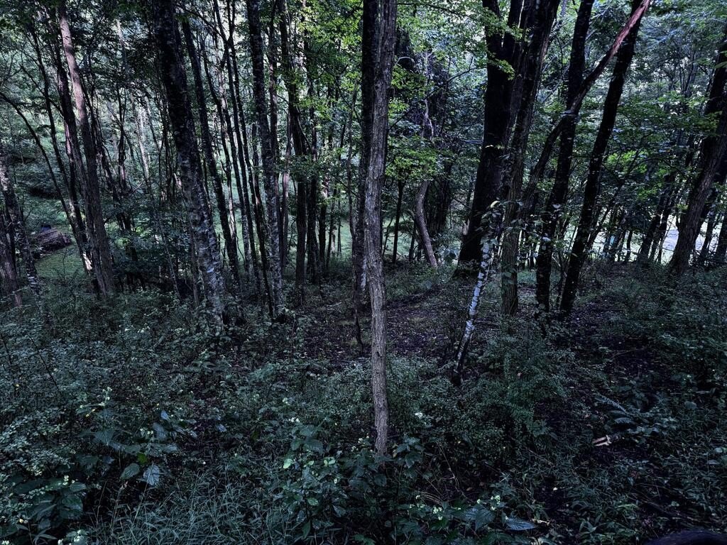 Picture 22