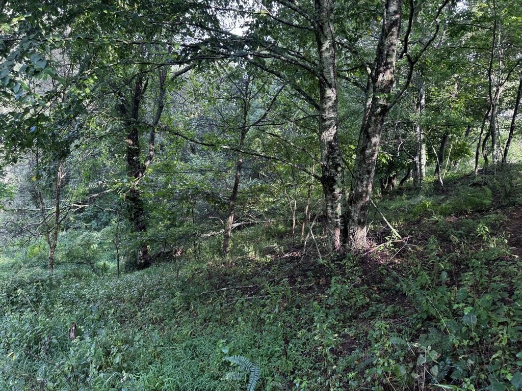 Picture 18