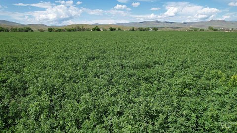 Land Parcel in Weiser, ID