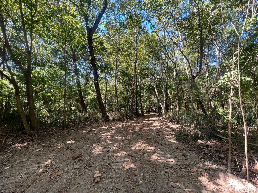 Picture 28