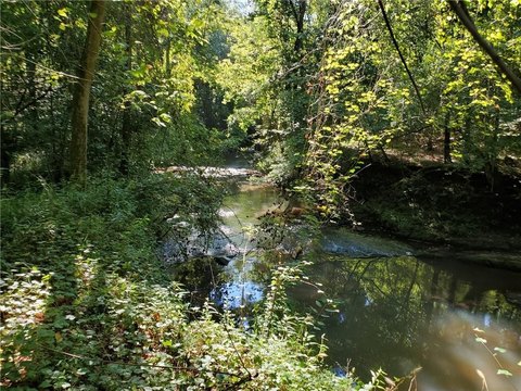 Jasper County Land For Sale