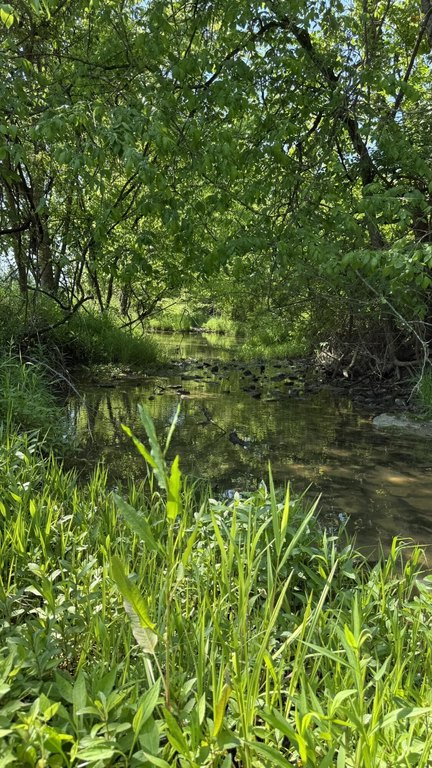 Picture 7