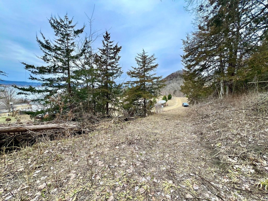 Picture 17