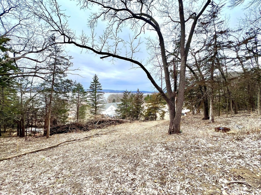 Picture 16