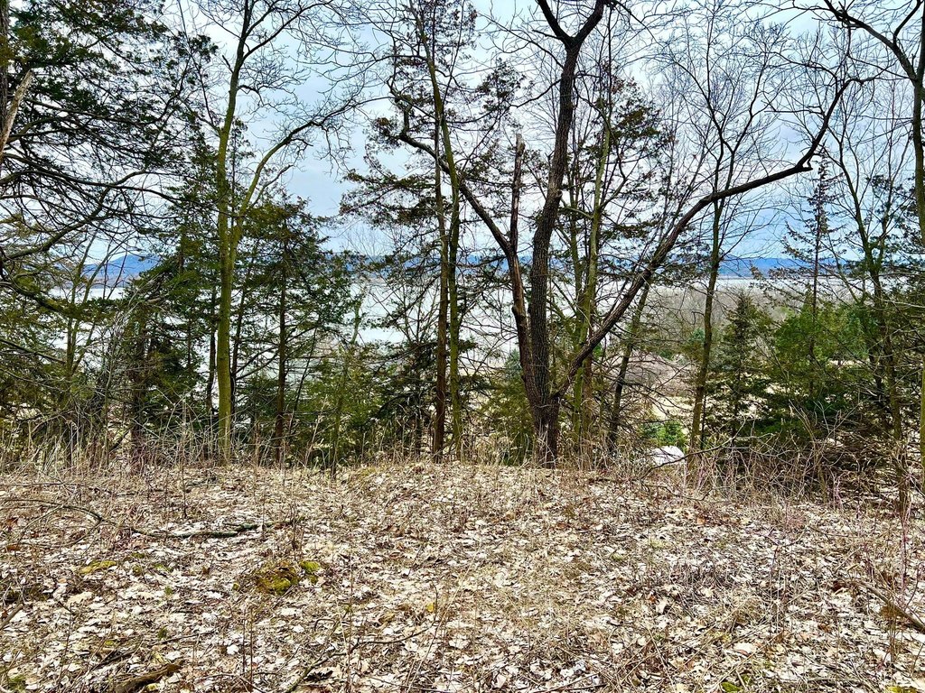 Picture 8