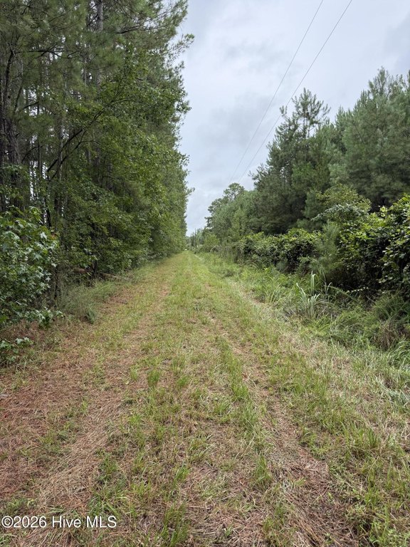 Picture 19