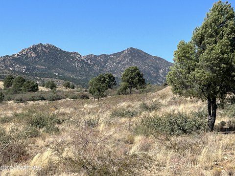 Land in Pinon Estates