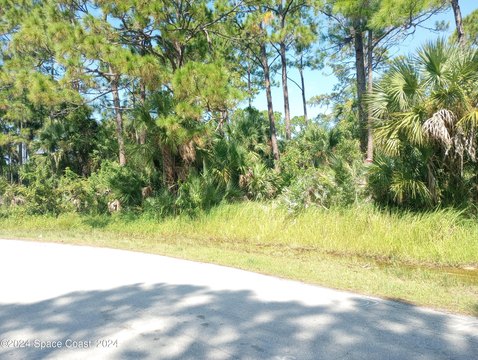 Picture of Land at Savery Rd 1042, Palm Bay, FL