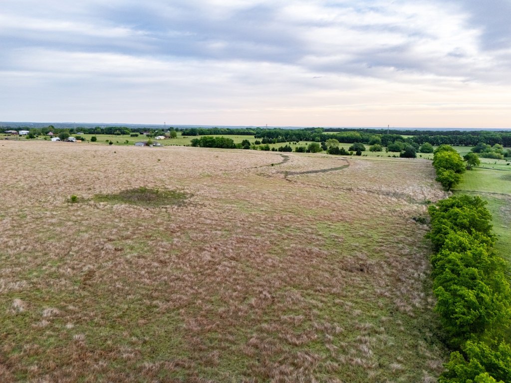 Picture 25
