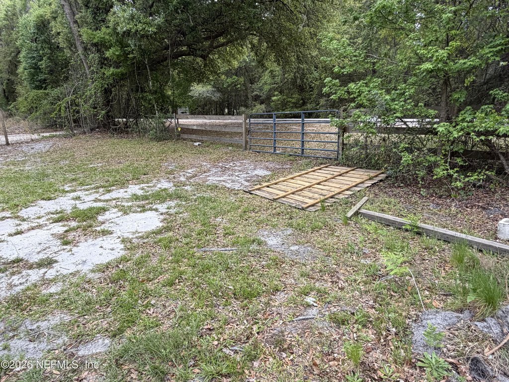 Picture 4
