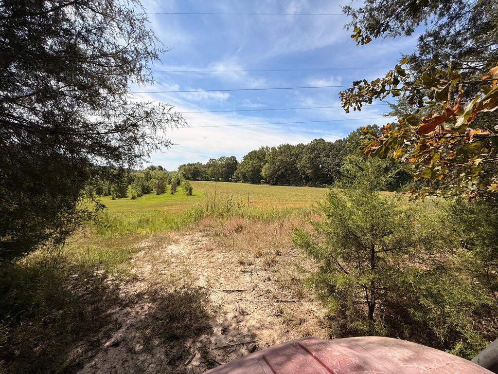 Picture 17