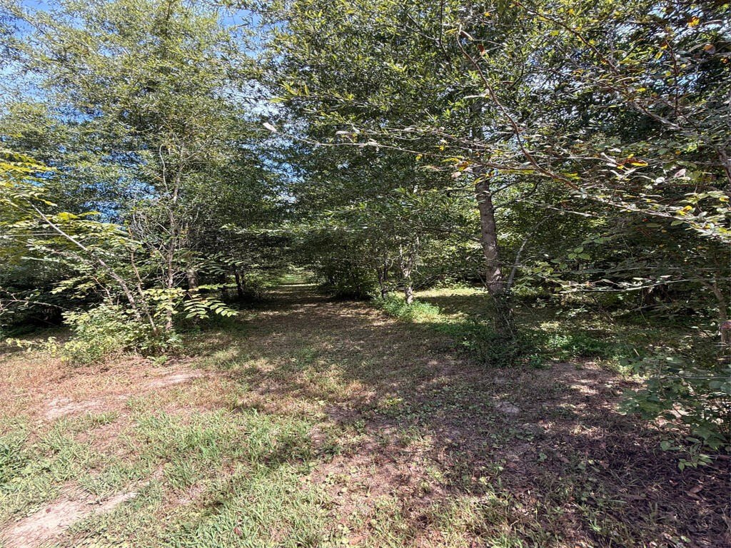 Picture 20