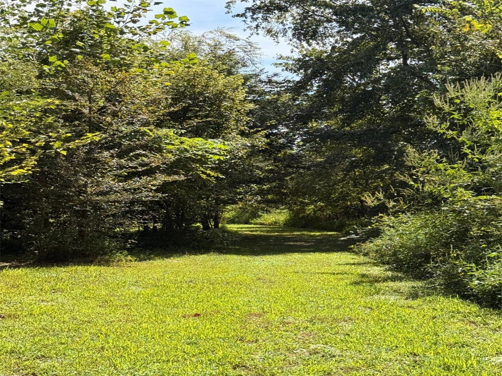 Picture 19