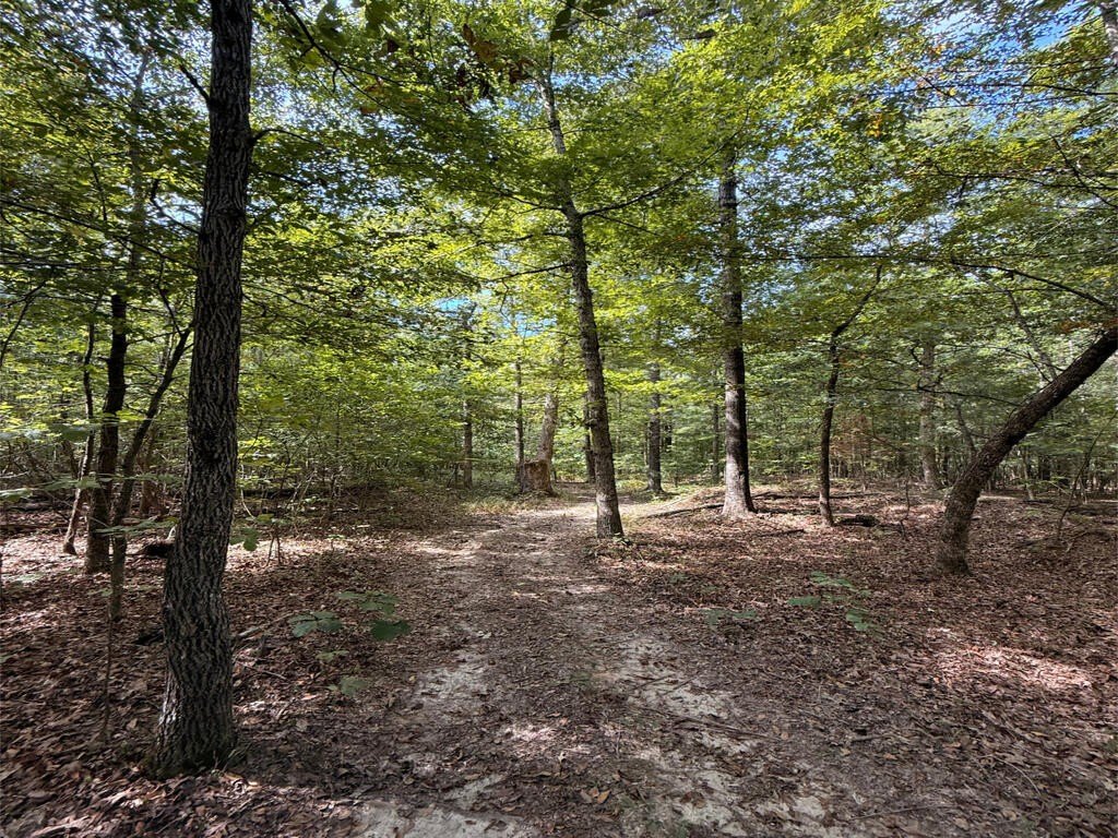 Picture 14