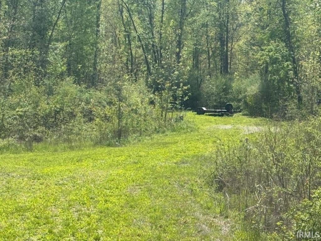 Picture 10