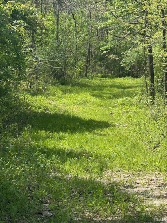 Picture 8