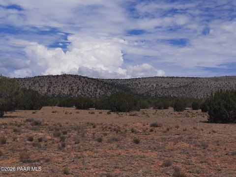 LAND - Seligman, AZ