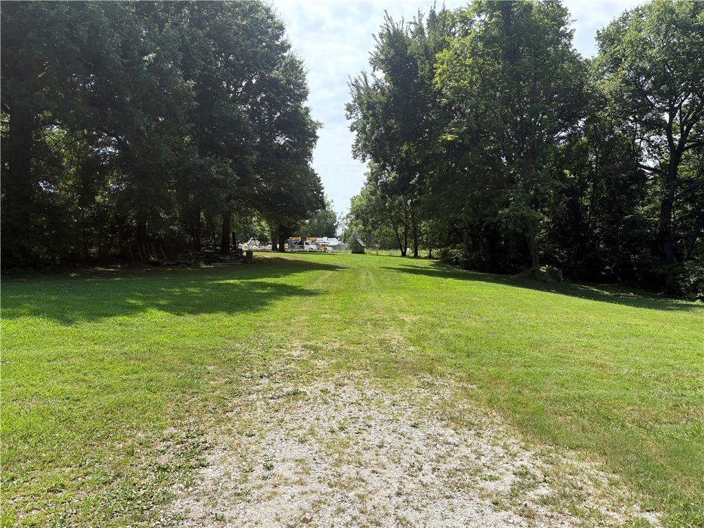 Picture 19
