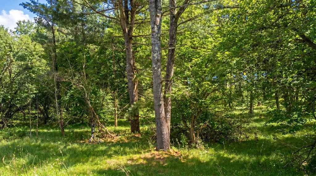 Picture 10