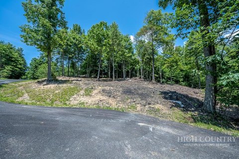 Land, Elk Park, NC