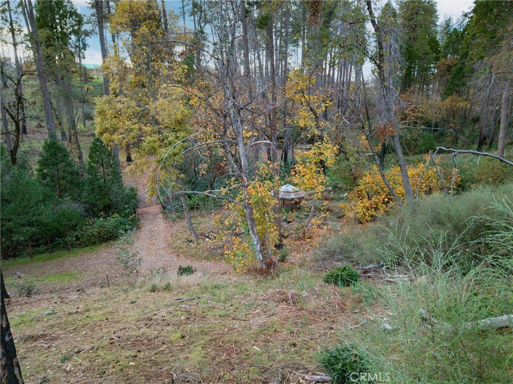 Picture 16