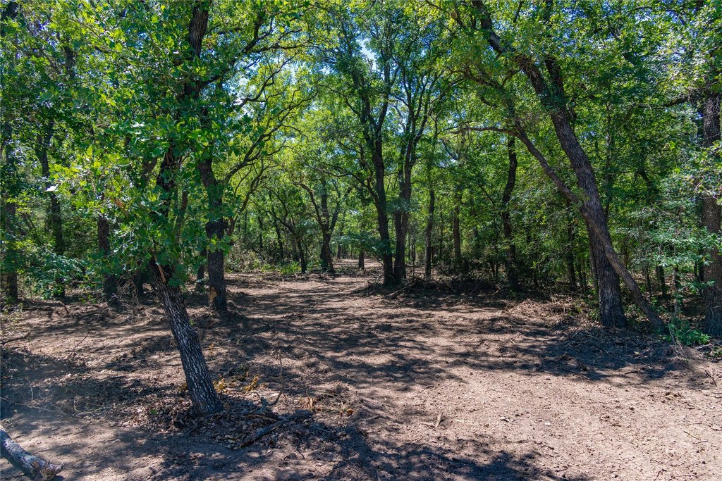Picture 22