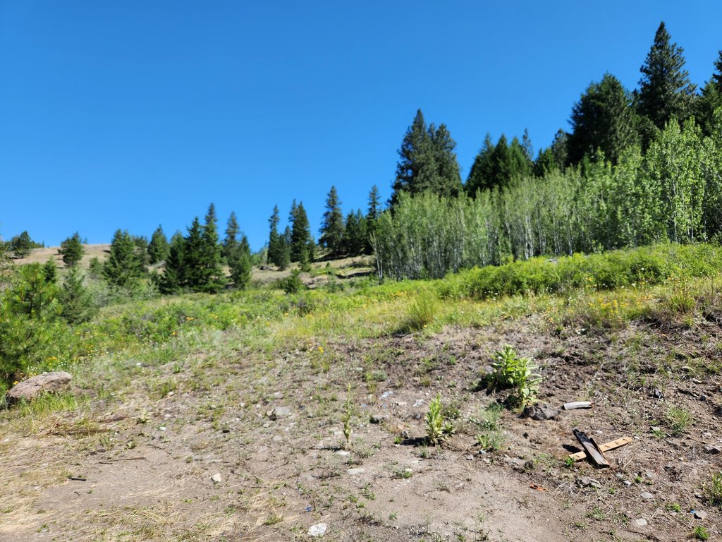 Picture 6