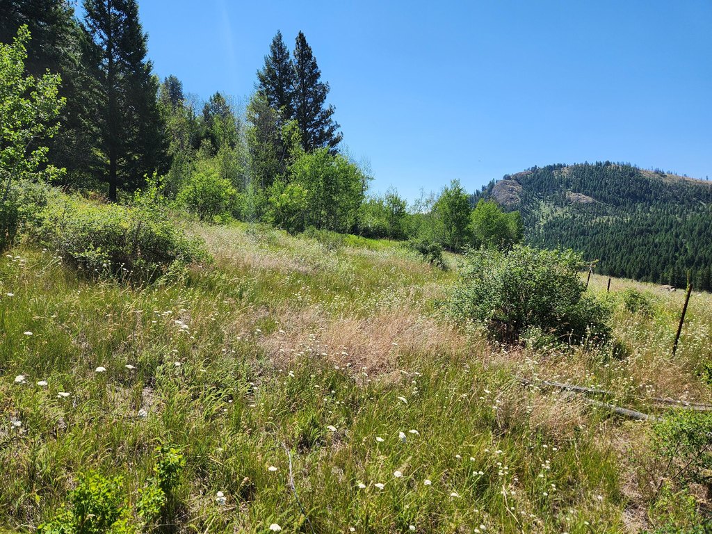 Picture 23