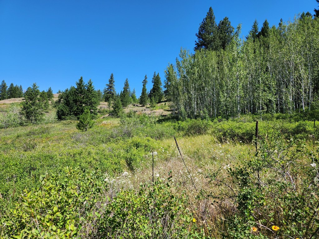 Picture 21