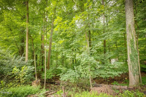 Wooded Lot in Scenic Woods