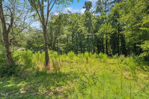 Chapel Hill Wooded Lot