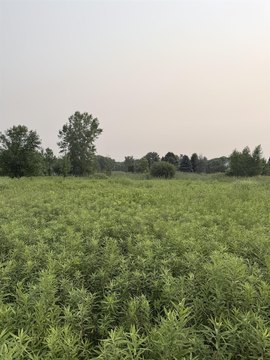 LAND - ABRAMS, WI