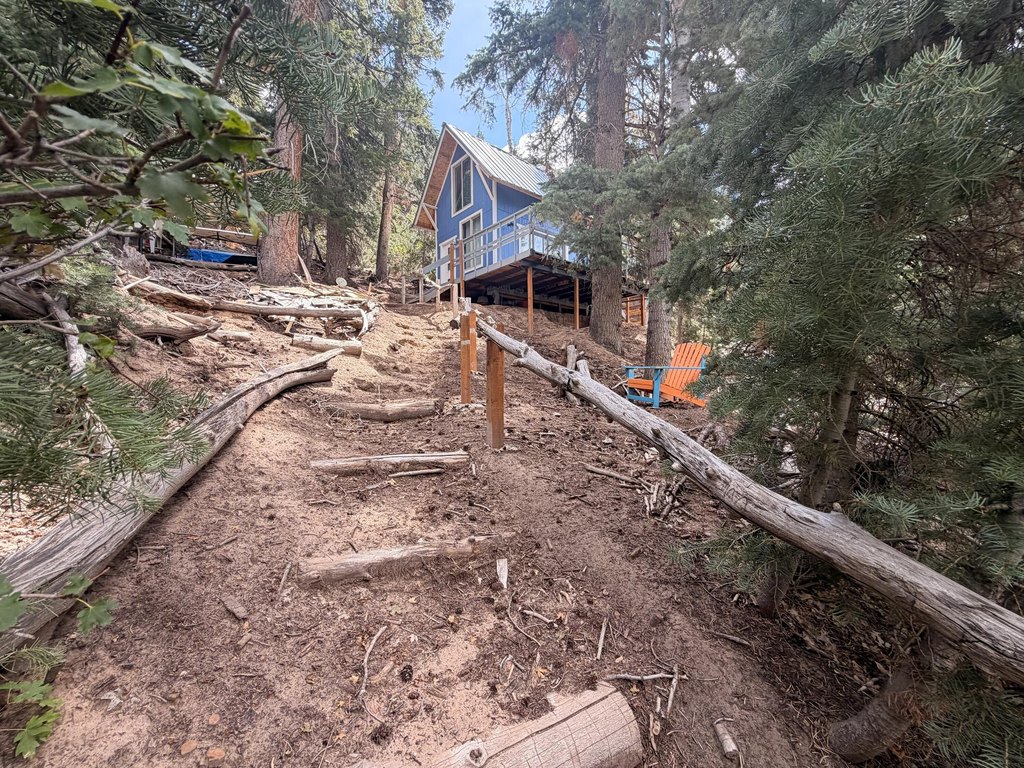Picture 18