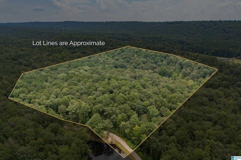 LAND/LOTS, BESSEMER, AL