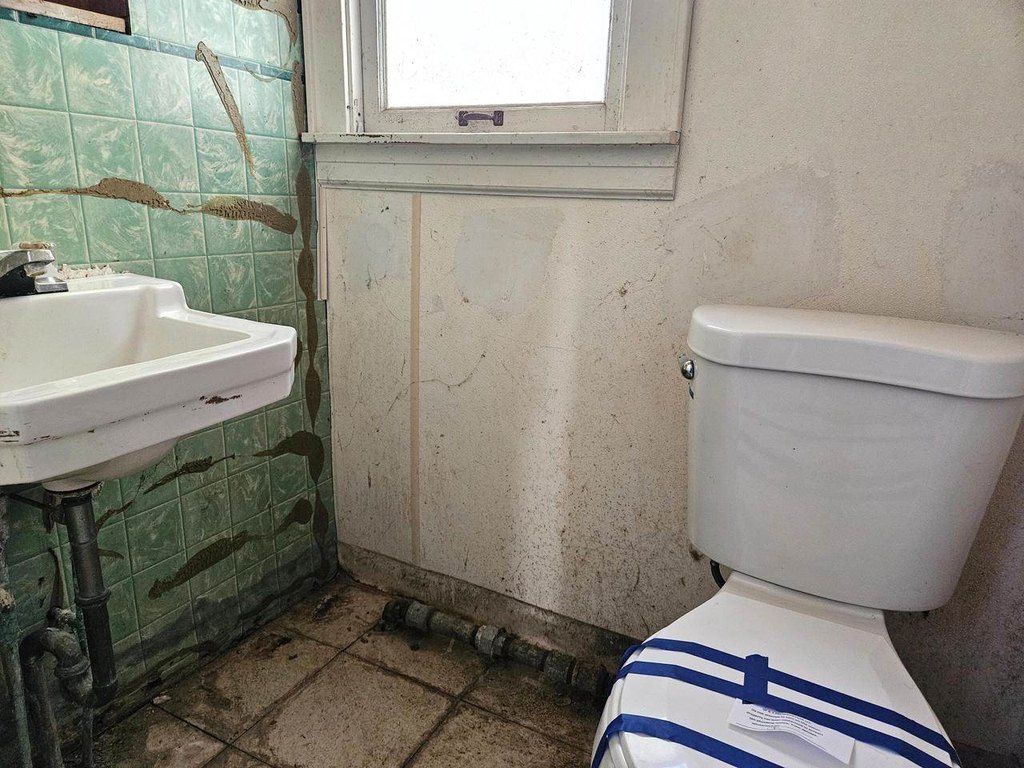 Picture 19