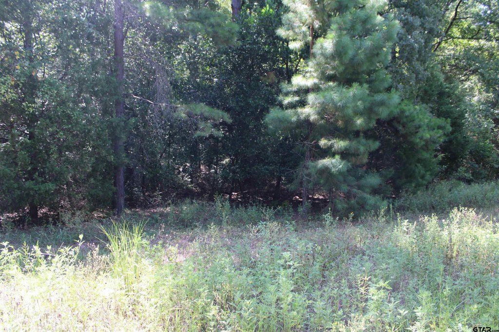 Picture 13