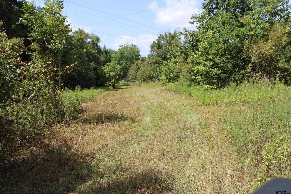 Picture 9